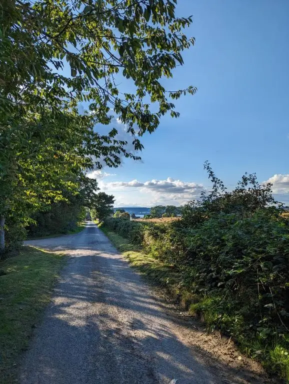 a dirt road with trees on either side of it at The Coo Shed in Inverness