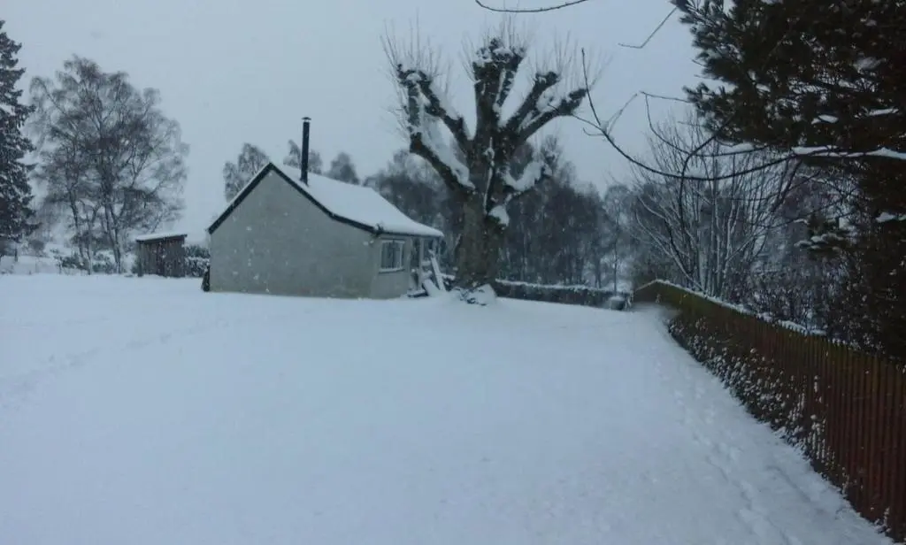 a house in a yard covered in snow at Sycamore Cottage in Boat of Garten