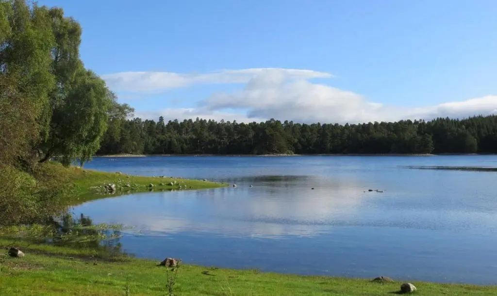 a large lake with some animals in the water at Sycamore Cottage in Boat of Garten