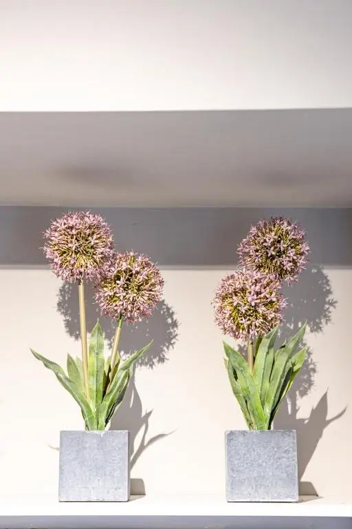 two vases with flowers in them on a shelf at The Tartan Terrace in Inverness