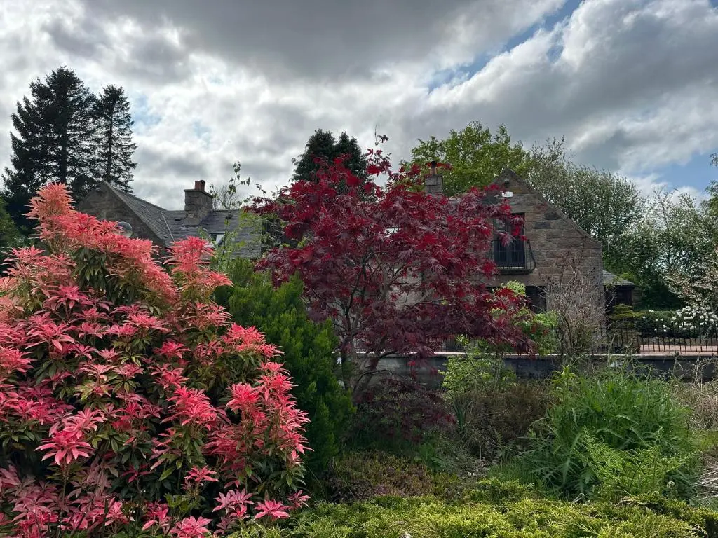 a house with colorful flowers in front of it at Awakening Alchemy Retreat Centre in Inverurie