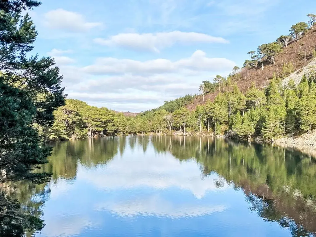 a river with trees on the side of a hill at Holiday Home Muir Edge by Interhome in Nethy Bridge