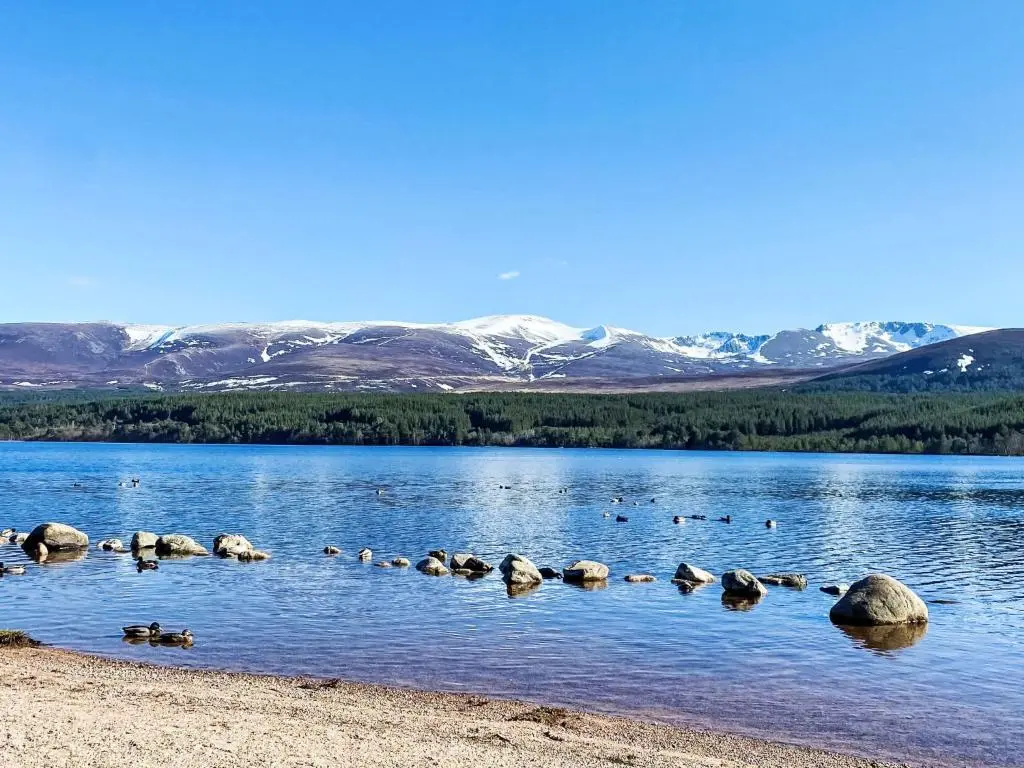 a group of ducks swimming in a lake with mountains at Apartment The Bruach by Interhome in Aviemore