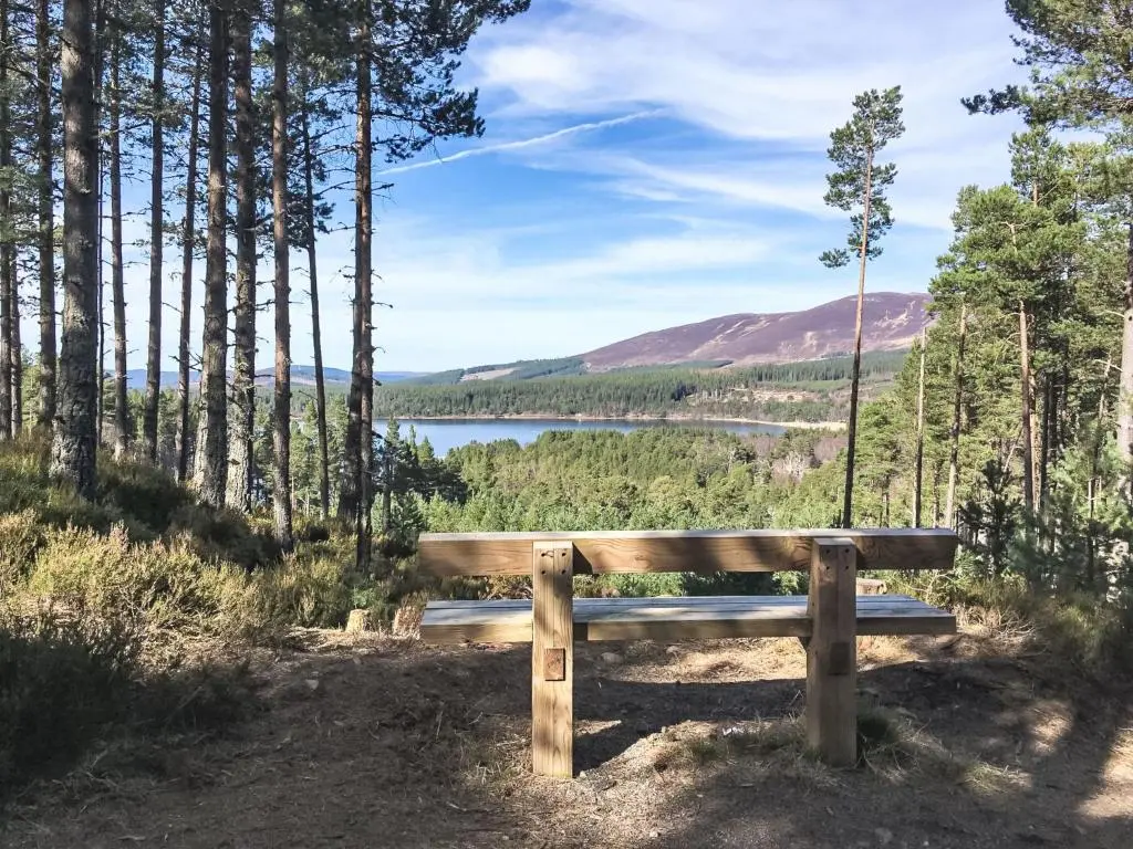 a wooden bench sitting on a hill overlooking a lake at Villa Craigmore Lodge by Interhome in Aviemore