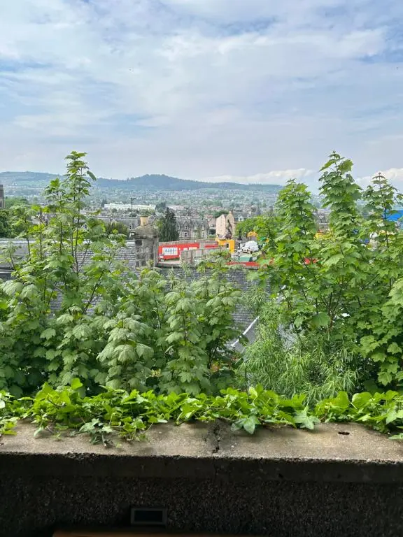a balcony with plants and a view of a city at Floras View in Inverness