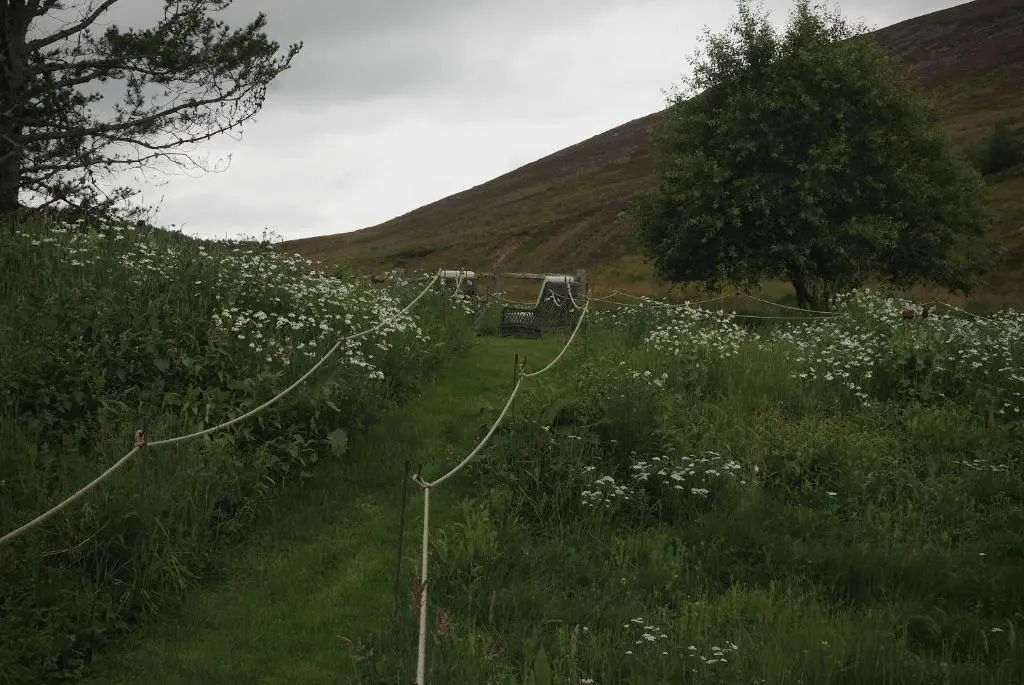 a field with white flowers and a hill at Laggan Cottage - Charming home along River Gairn with unique panoramic room in Ballater