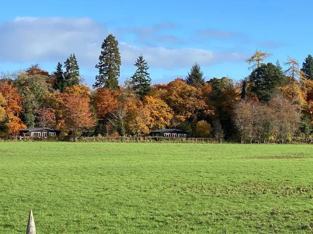 a green field with trees in the background at Burnside Chalet on Reelig Estate in Kirkhill
