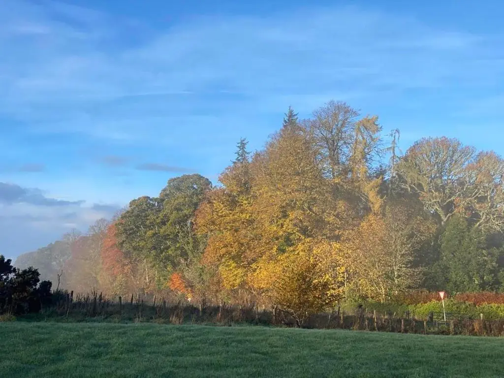 a field with autumn trees in the background at Burnside Chalet on Reelig Estate in Kirkhill