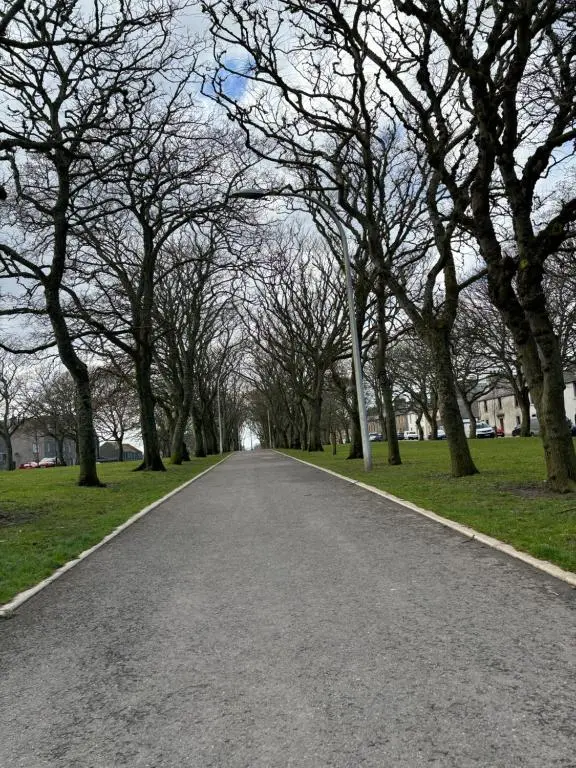 an empty road in a park with trees at Argyle House Wick in Wick