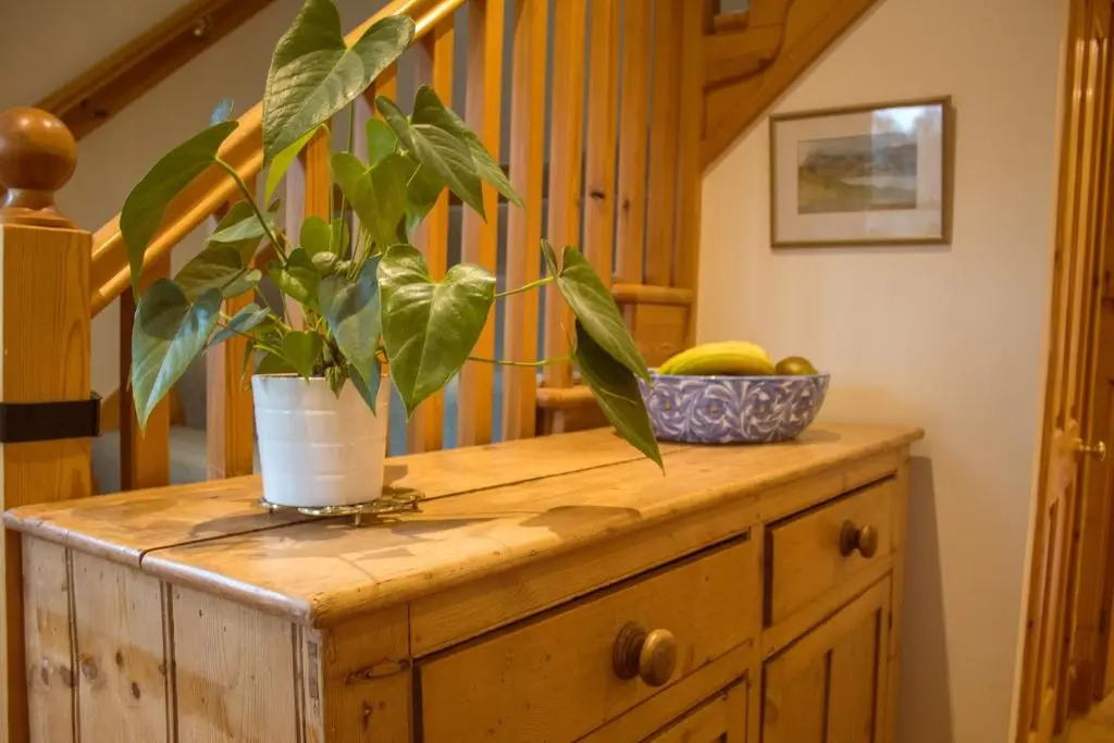 a plant sitting on top of a wooden dresser at Carriden in Insh