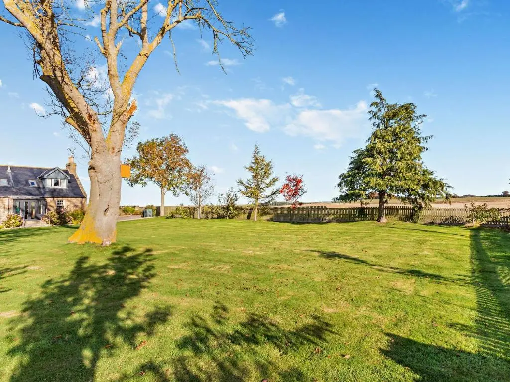 a tree in the middle of a green field at 1 Bed in Elgin 32129 in Burghead