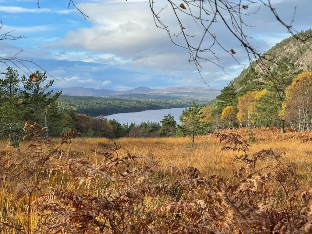 a field of grass with a lake in the background at The Highlander in Tain