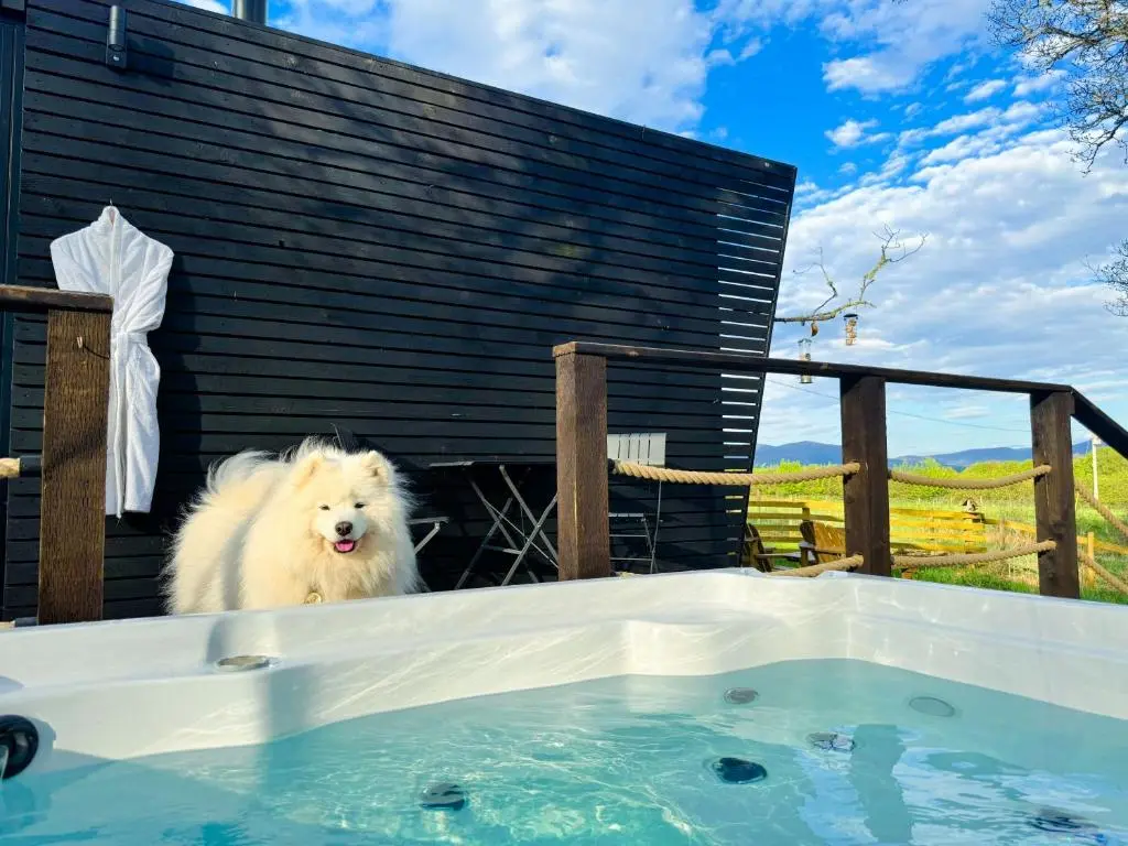 a white dog is standing in a hot tub at Dog friendly cabin & hot tub and Cairngorm views in Aviemore
