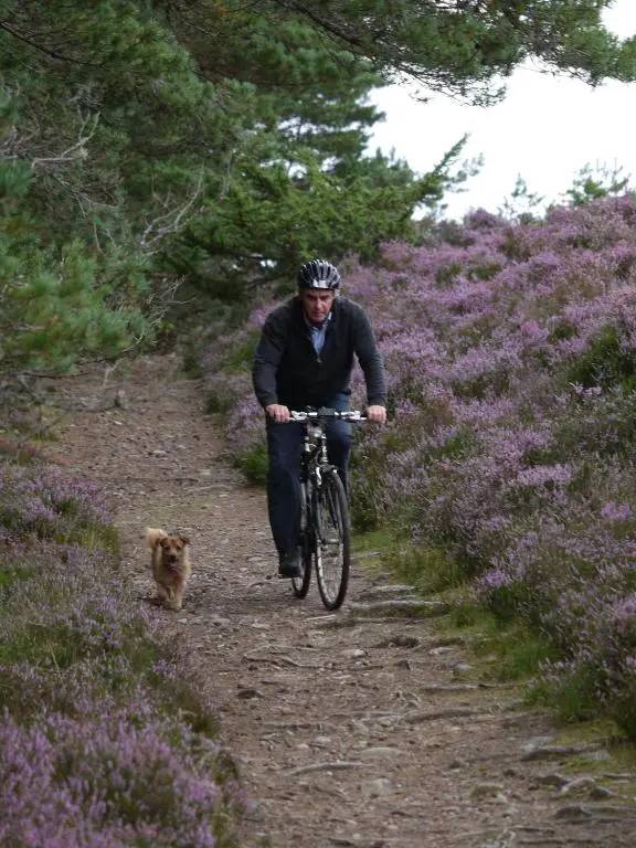 a man riding a bike on a path with a dog at Drumguish Cottage in Kingussie