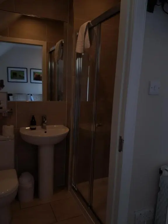 a bathroom with a shower and a sink at Loch Ness Guest House in Fort Augustus