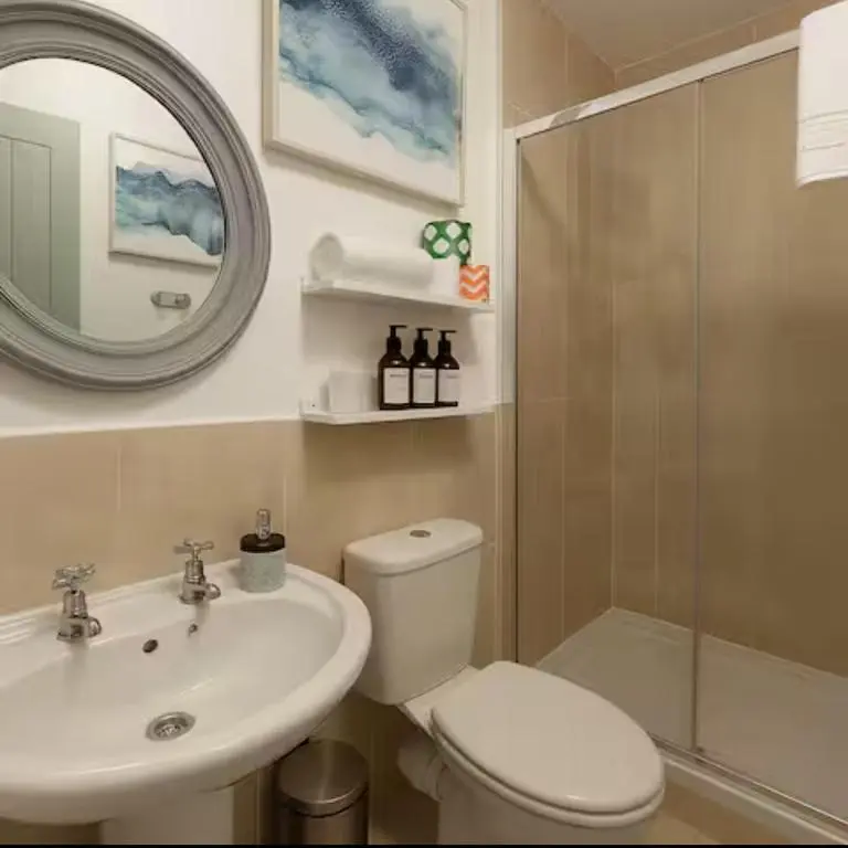 a bathroom with a toilet and a sink and a shower at Bed on the Brae in Inverness