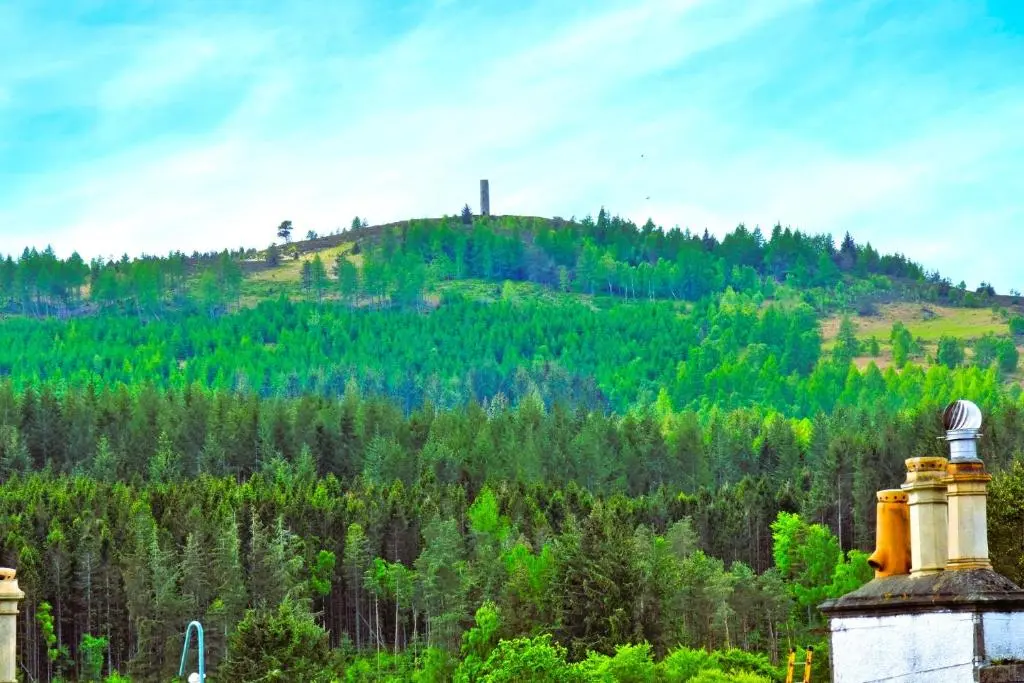 a view of a hill with a forest at Entire flat in Banchory, Aberdeenshire, Scotland in Banchory