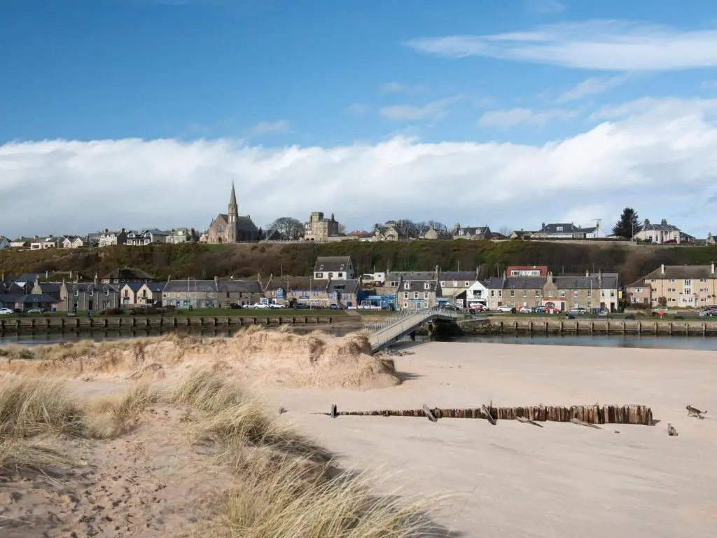 a group of penguins on the beach near a city at Apartment Harbour Nights Deluxe 7B by Interhome in Lossiemouth