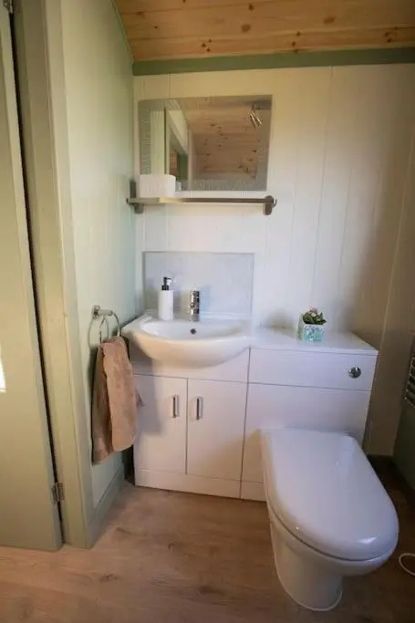 a bathroom with a white toilet and a sink at Cosy Shepherds Hut with hot tub in the Scottish Highlands in Stittenham