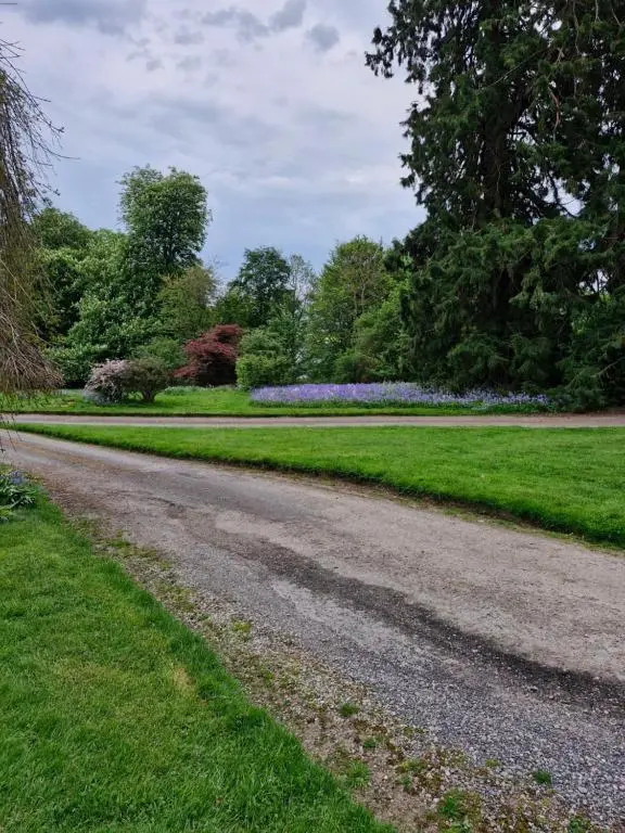 a gravel road in a park with green grass and trees at The Bungalow - Ardullie Lodge in Dingwall