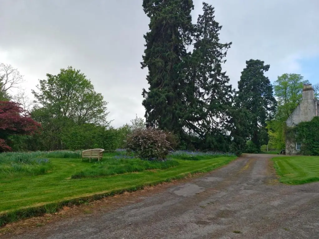 a dirt road with a bench in the grass at The Bungalow - Ardullie Lodge in Dingwall