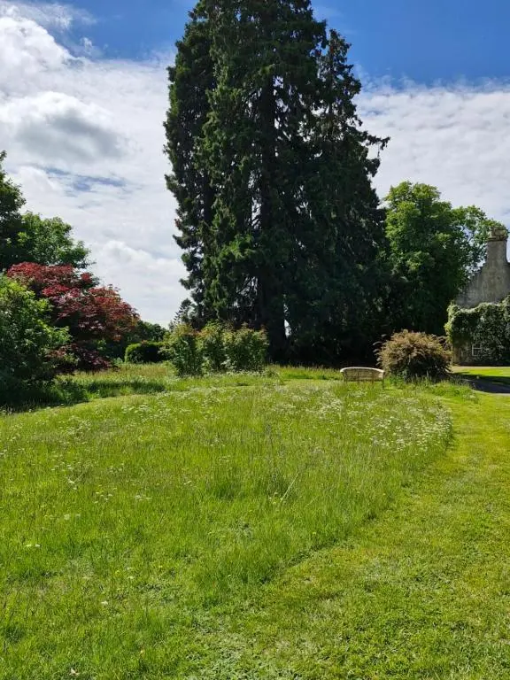 a field of green grass with a tree in the background at The Bungalow - Ardullie Lodge in Dingwall