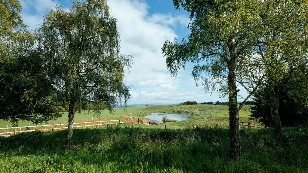 a field with trees and a fence and a lake at Lodges at the Mains in Inverness