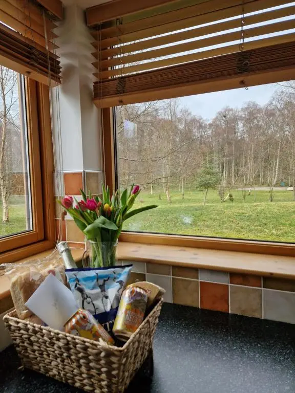 a basket of flowers sitting in front of a window at Lodges at the Mains in Inverness