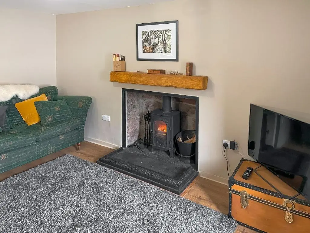 a living room with a fireplace and a green couch at The Wee Belter in Dornoch