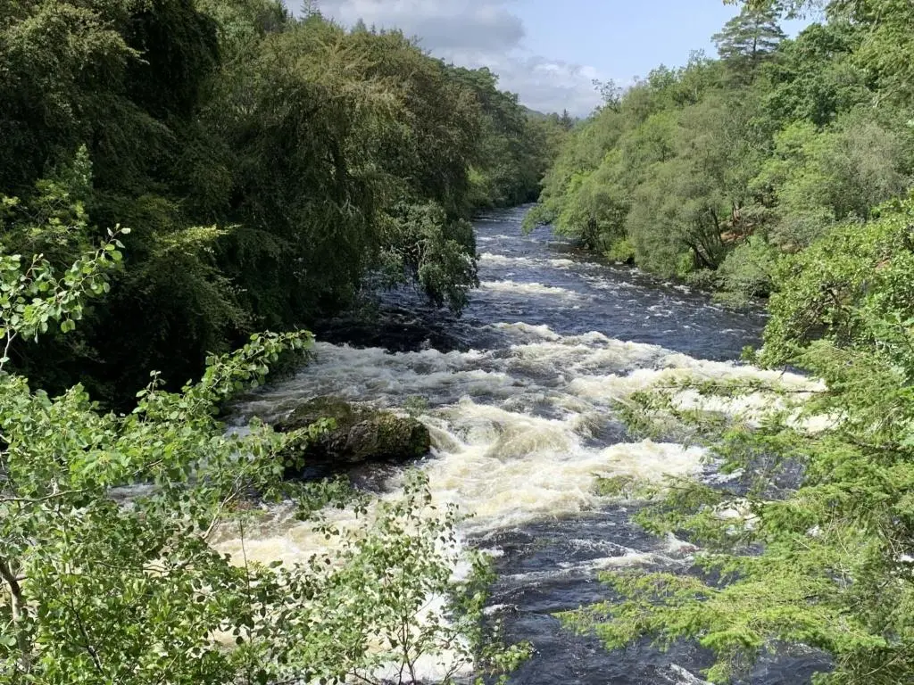 a river with rapids in the middle of a forest at Chalet Oich View by Interhome in Spean Bridge