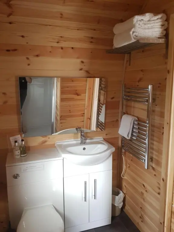 a bathroom with a sink and a toilet in a cabin at Faodail 'a lucky find' in Dunbeath