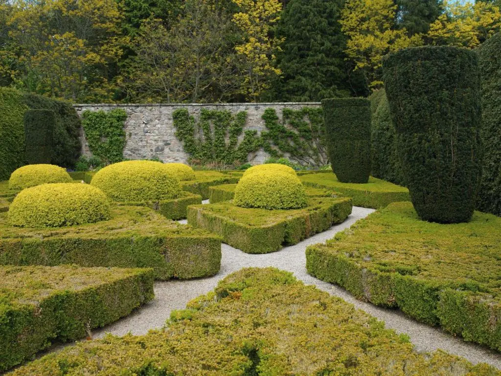 a garden with trimmed bushes and a walk way at Macdonald Pittodrie House in Chapel of Garioch