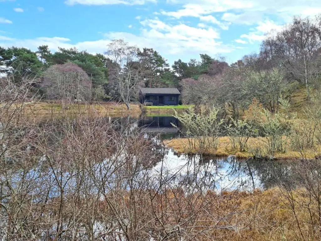 a house in the middle of a field with a pond at Lochside Log Cabin in Brora