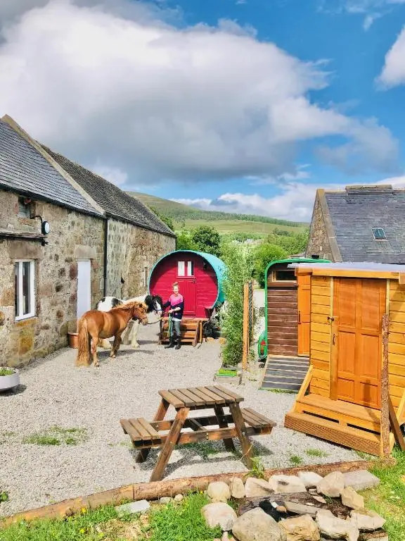 a man and a horse standing in front of a barn at Bowtop Wagon at Lettoch Farm in Keith