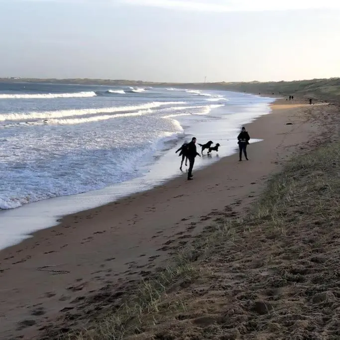 two people and a dog walking on the beach at Historical North Cottage in Old Deer in Old Deer