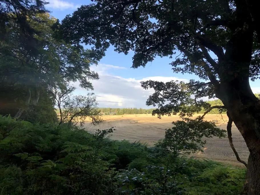 a view of a field from a tree at Glenburn, Peaceful Accommodation Fochabers in Fochabers