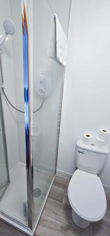 a bathroom with a toilet and a shower at Melrose Villa 11 Bedroom House in Inverness