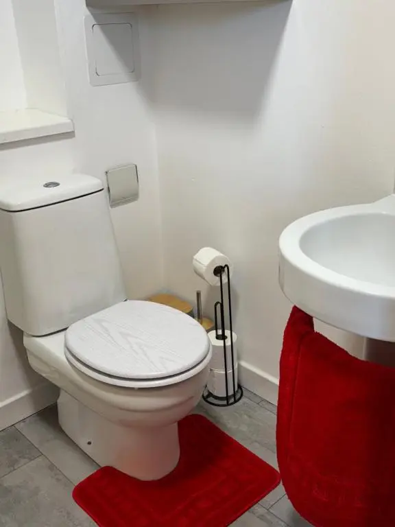 a bathroom with a white toilet and a sink at MacIver City Apartments Farraline Court in Inverness