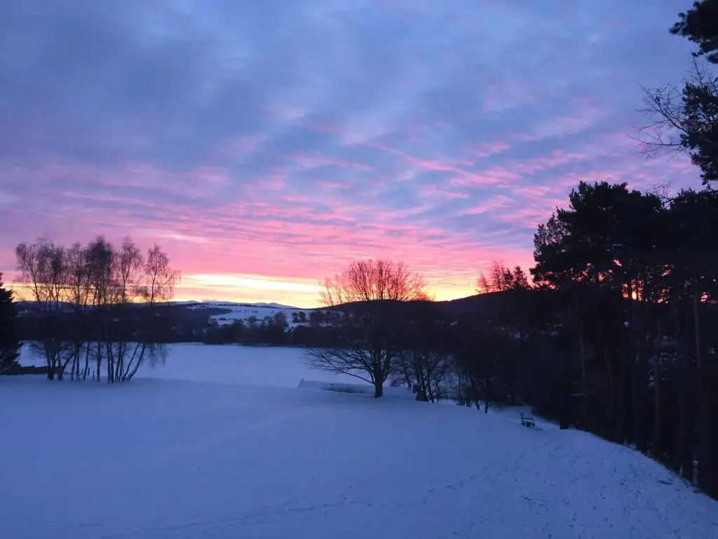 a winter sunset with a snowy field and trees at Dalrachney Lodge in Carrbridge