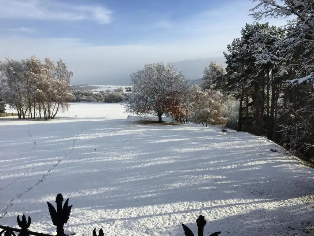 a snow covered field with trees in the distance at Dalrachney Lodge in Carrbridge