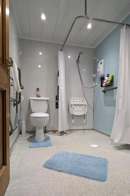 a bathroom with a toilet and a shower in it at The Wee Heilan' Coo in Nairn