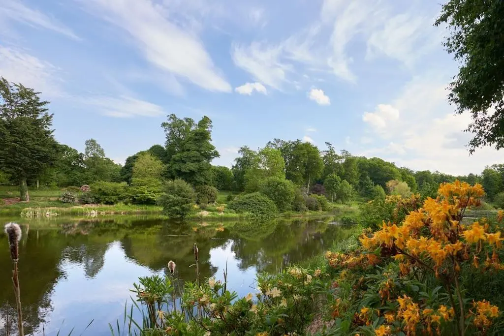 a view of a lake with trees and clouds in the sky at Idyllic 12 bedroom Country Home in Forres