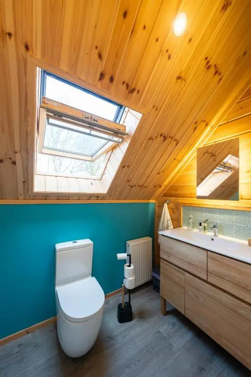 a bathroom with a toilet and a sink and a skylight at Cherry Tree Lodge in Inverness