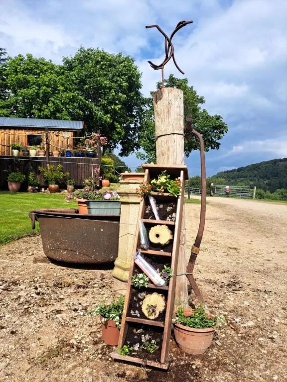 a garden ladder with plants and a bird on top at Cobblehouse Country Cabins no TRADE WORKERS in Inverkeithny
