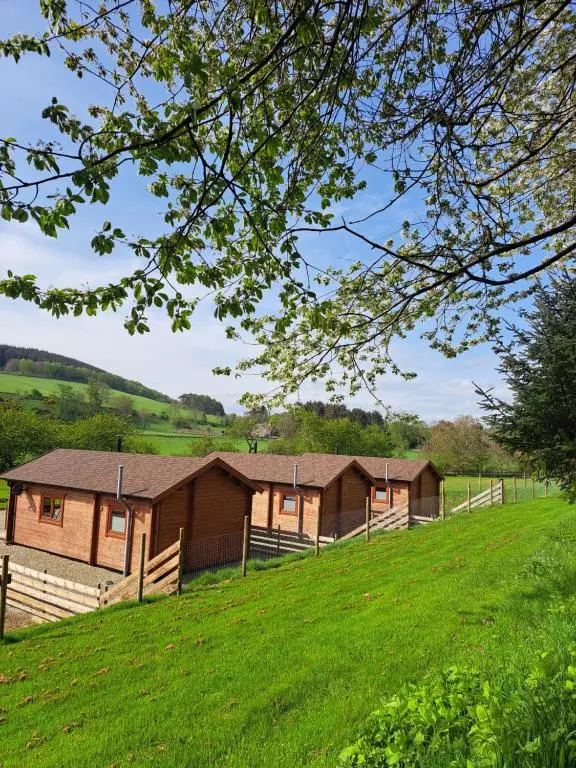 a group of buildings on a grassy hill at Cobblehouse Country Cabins no TRADE WORKERS in Inverkeithny