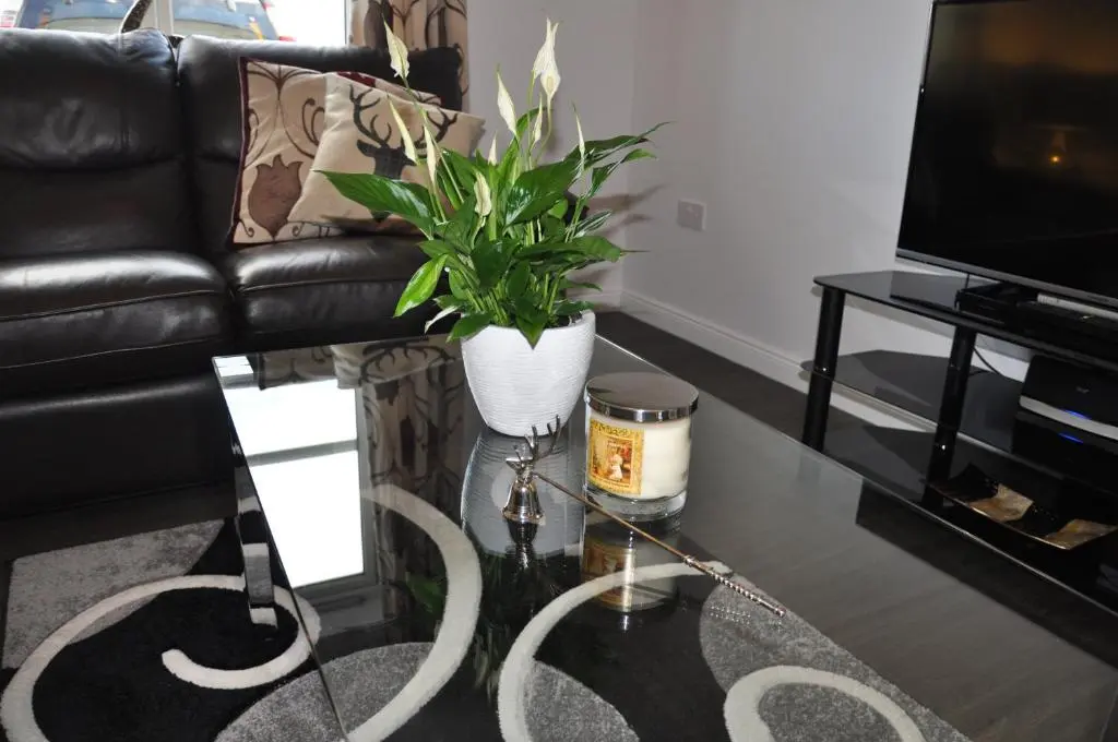 a living room with a couch and a table with a plant at Westgate Apartments Birchlee in Inverurie
