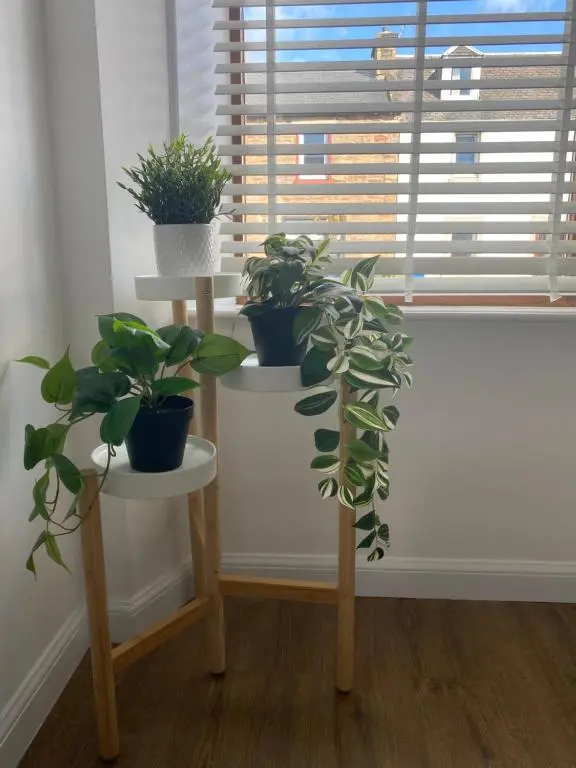 a group of potted plants sitting on stands in front of a window at 23 Innes Street Apartment in Inverness