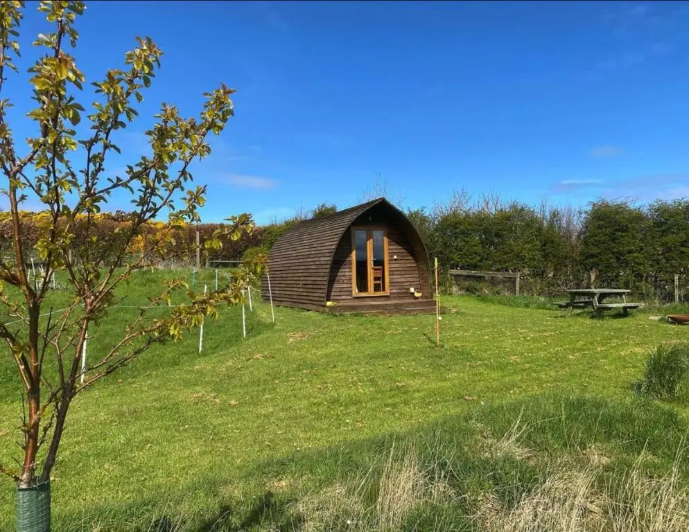 a small cabin in the middle of a grass field at Greenley Croft Glamping by Wigwam in Crovie