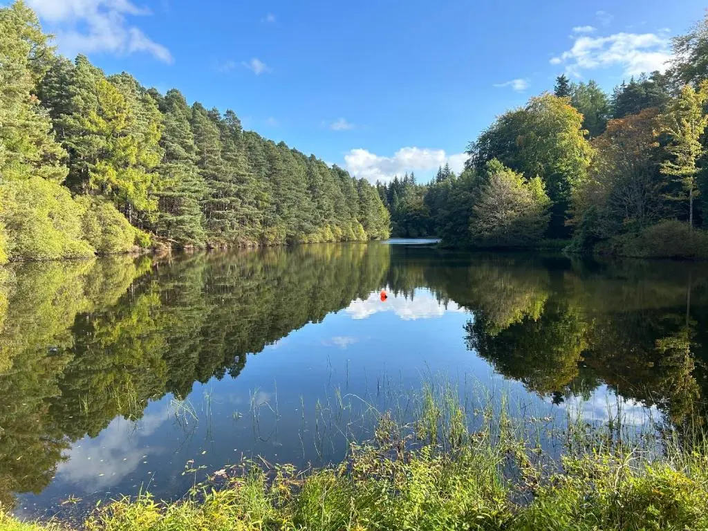 a river with trees reflecting in the water at Victorian Home in Moray in Forres