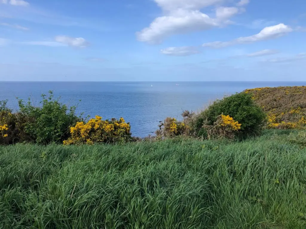 a field of grass with the ocean in the background at The Three Kings Inn in Cullen